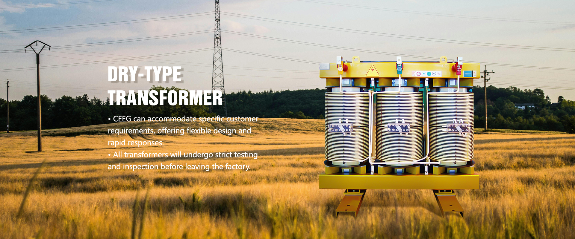 CEEG transformers