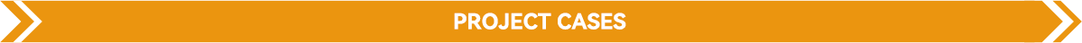 CEEG Project Cases.png
